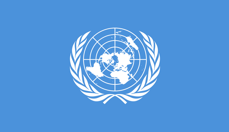 11 krajów członkowskich ONZ SPRZECIWIA SIĘ wprowadzeniu deklaracji na wypadek pandemii