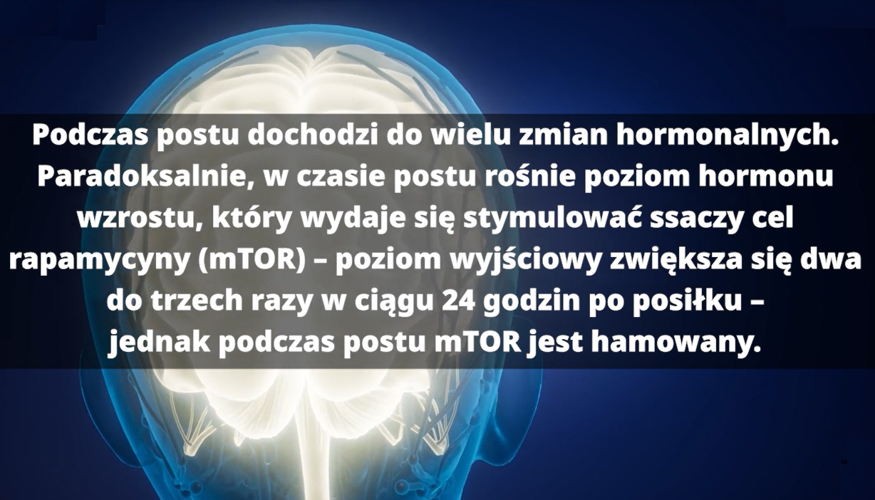 Długowieczność — ponowne odkrywanie tajemnic zdrowego i długiego życia