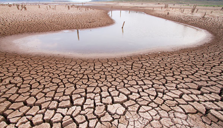 Globaliści Światowego Forum Ekonomicznego chcą wykorzystać kryzys wodny do utworzenia rządu światowego