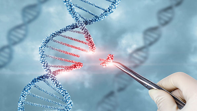 Wszystkie szczepionki rekombinowane i adiuwanty – nie tylko szczepionki przeciwko COVID-19 – są obecnie zamieszane w skandal związany z zanieczyszczeniem DNA