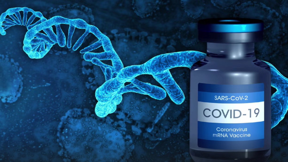 Japoński rząd przyznaje, że każdy zastrzyk mRNA skraca życie o 10 lat