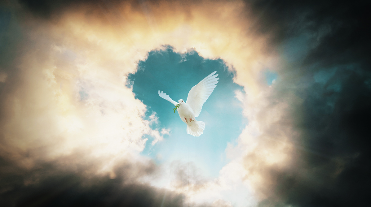 Generał dywizji w stanie spoczynku na rzecz pokoju: Ludzie muszą „przypomnieć rządowi o jego podstawowym obowiązku”