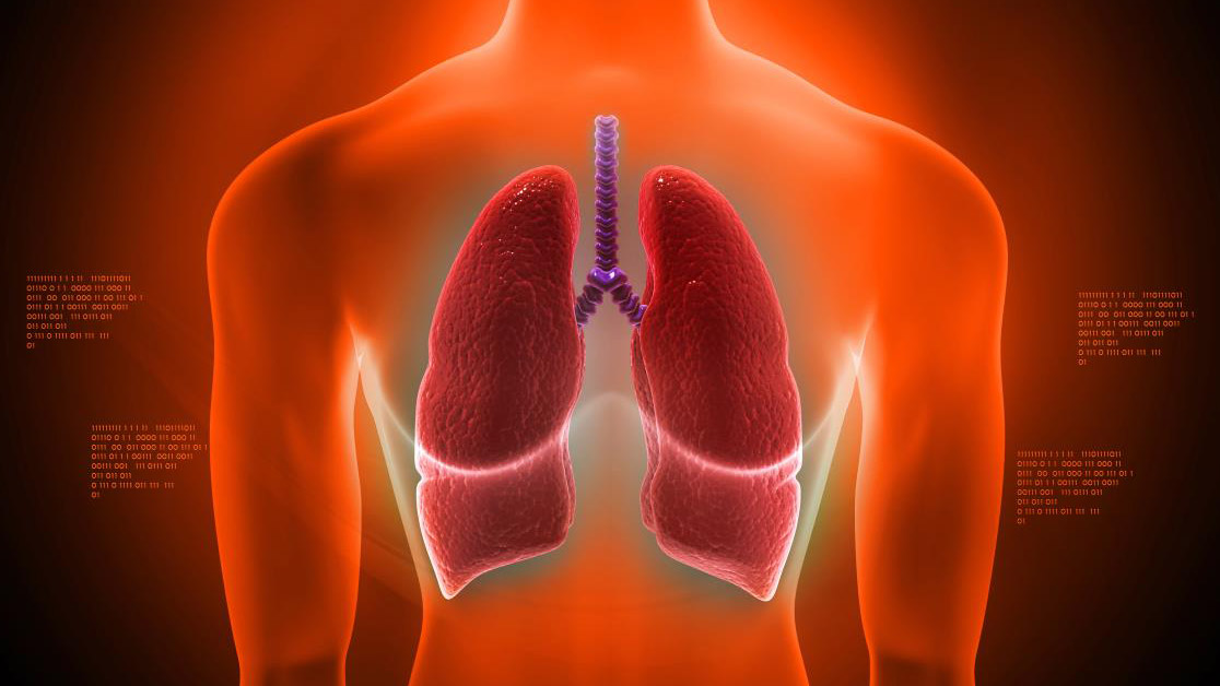 Ukryta moc prawidłowego oddychania: Jak techniki przeponowe poprawiają zdrowie, wydajność i jasność umysłu