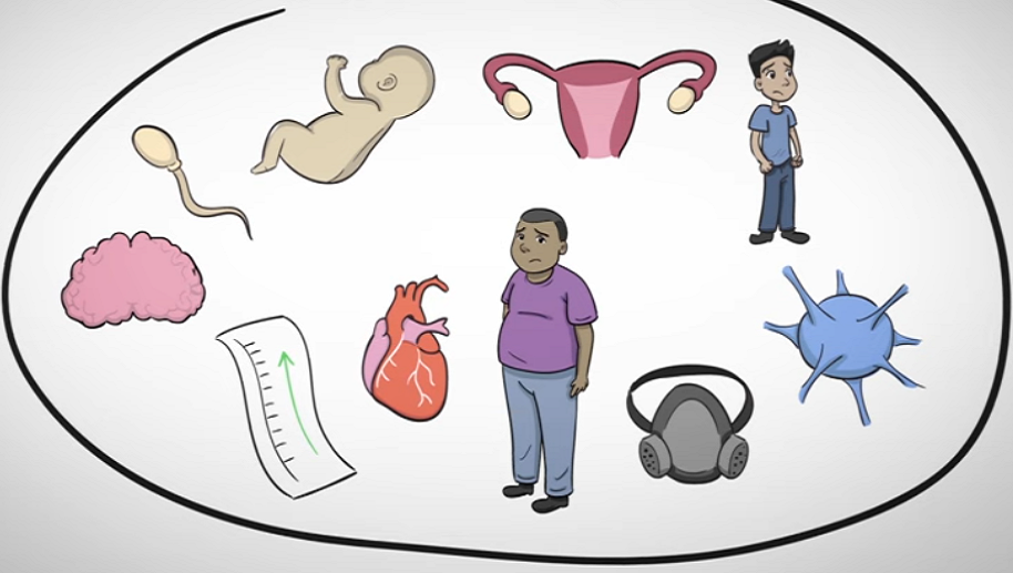 Jak unikać substancji chemicznych zaburzających gospodarkę hormonalną