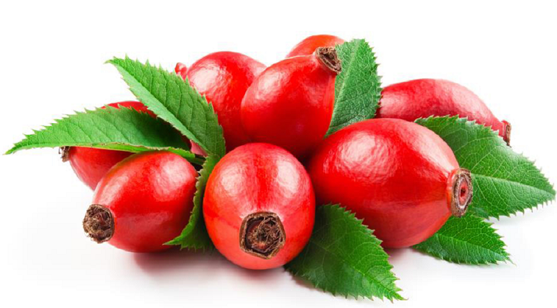 Owoce dzikiej róży: Zapomniane lekarstwo natury na zapalenie stawów i nie tylko