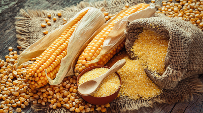 Kukurydza: Odżywczy produkt podstawowy czy ukryte zagrożenie dla zdrowia?