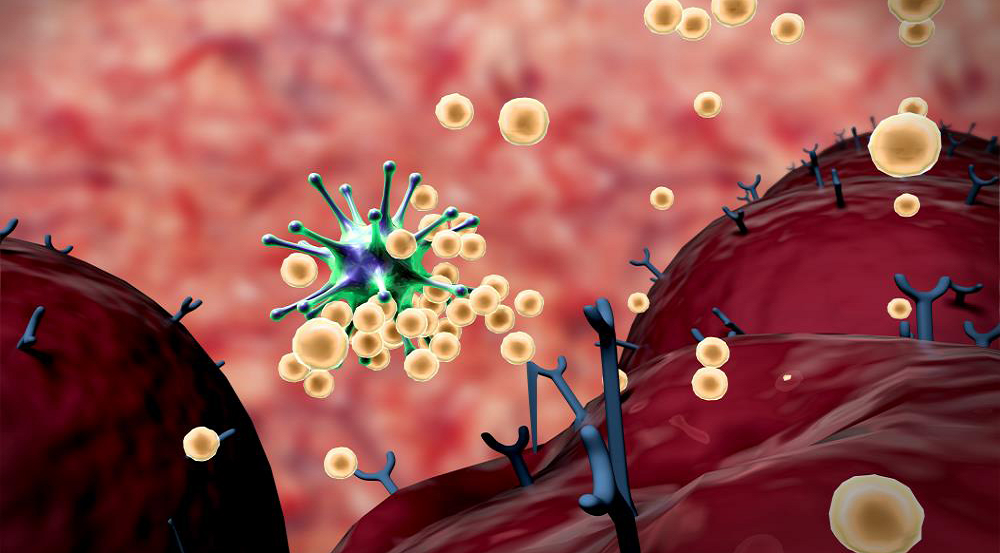 Rewolucja w dziedzinie immunologii: W jaki sposób limfocyty zmieniają walkę z rakiem