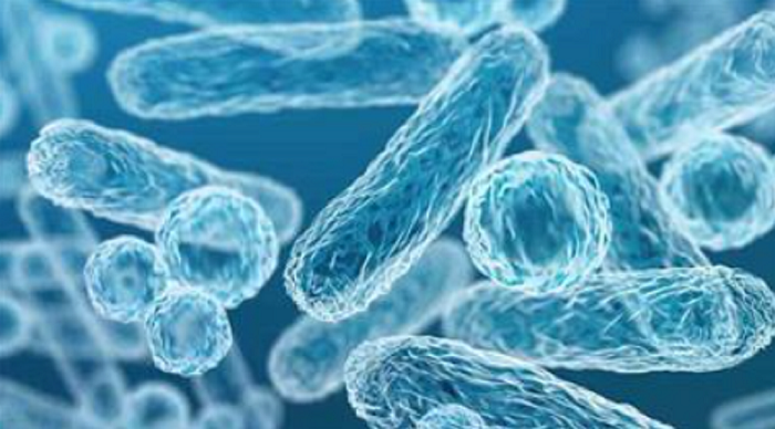 Różnice między prebiotykami, probiotykami i postbiotykami