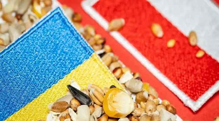 Na horyzoncie rysuje się kolejny kryzys zbożowy między Polską a Ukrainą