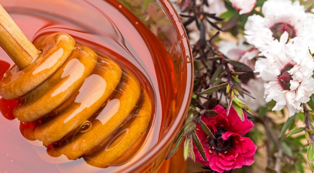 Miód manuka pomaga zwalczać infekcje płuc oporne na antybiotyki